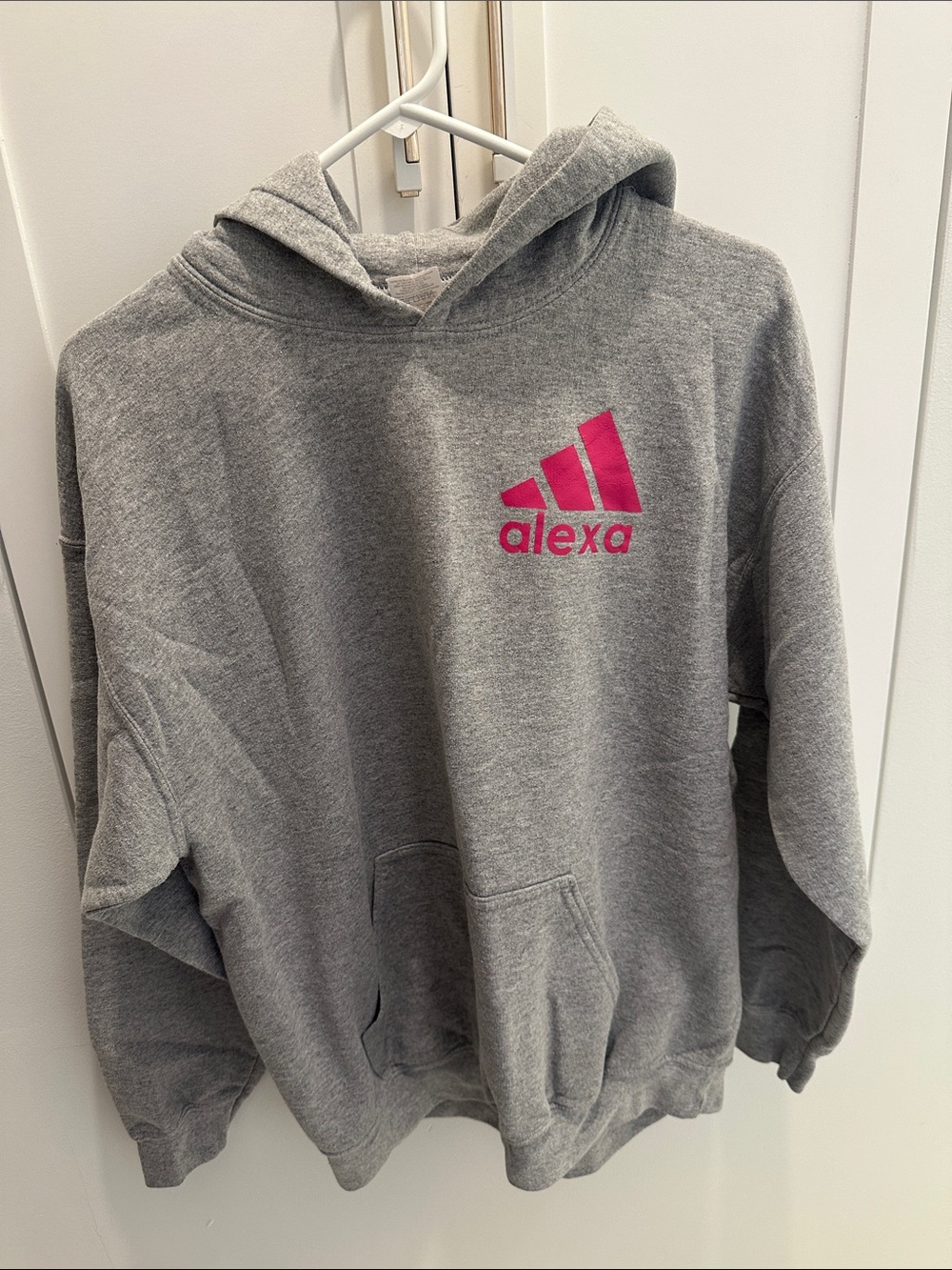 Gildan Gray Hoodie with Pink Alexa Logo